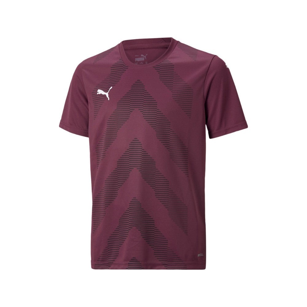 Teamglory Crew Neck Short Sleeve Replica Jersey (Youth)
