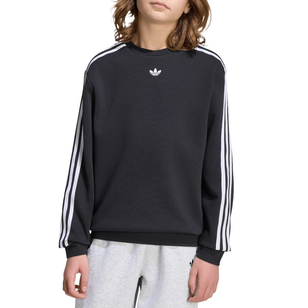 Pokémon Loose Crew (Youth)