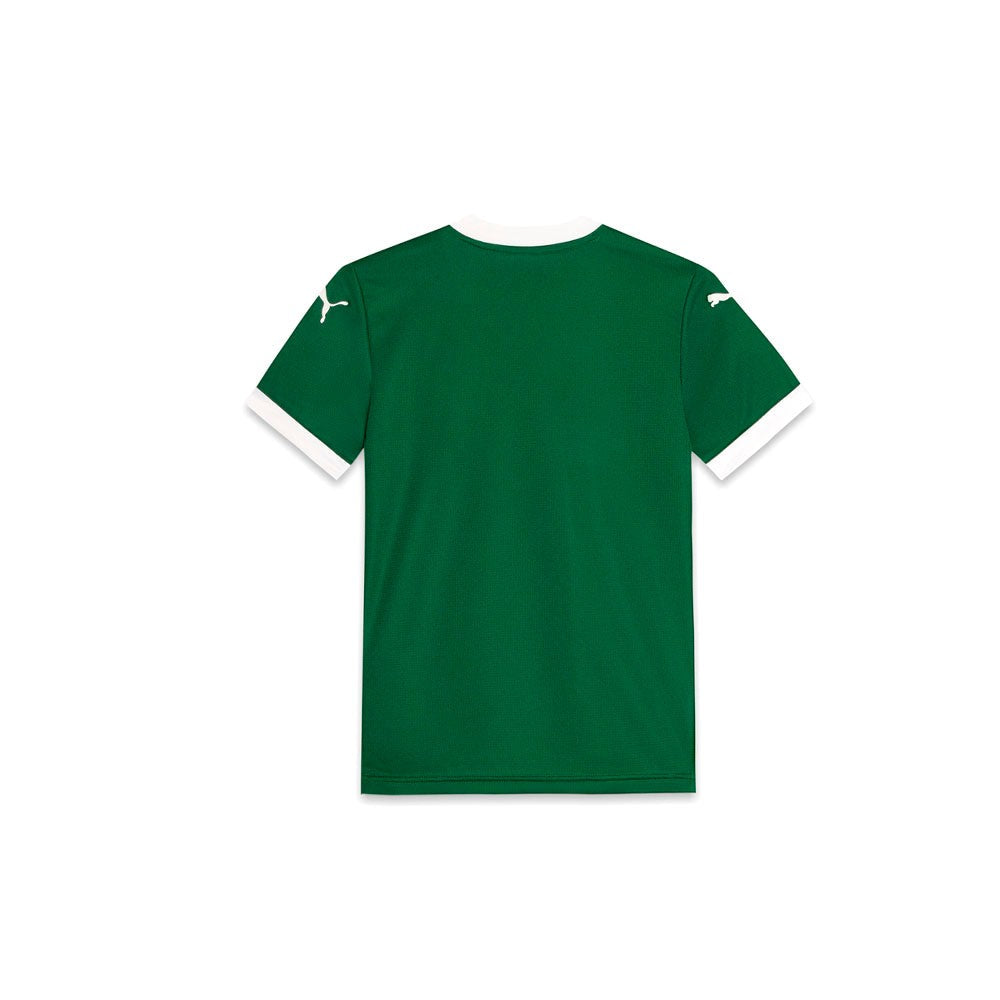 Palmeiras Torcedor Home 25 Crew Neck Short Sleeve Replica Jersey (Youth)