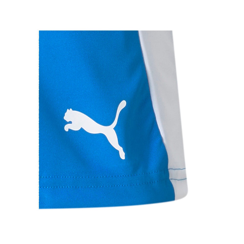 Liga Soccer Shorts (Youth)