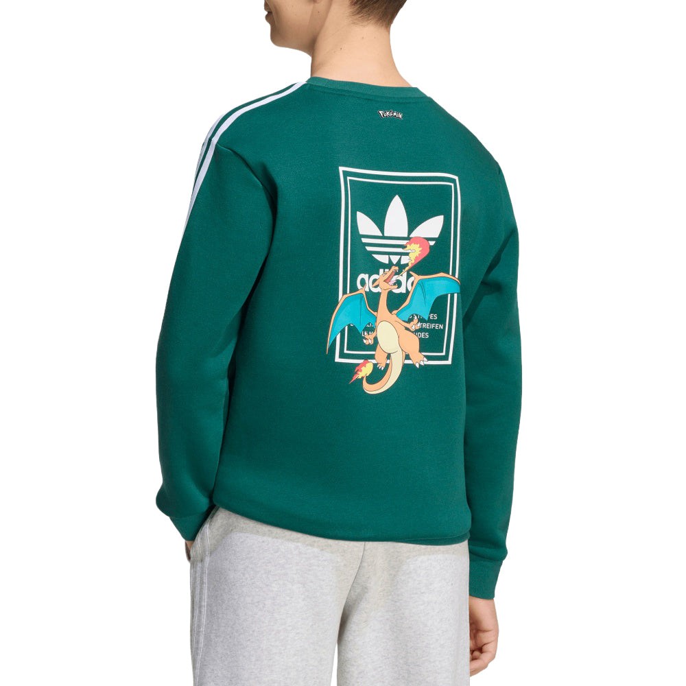 Pokémon loose crew (Youth)