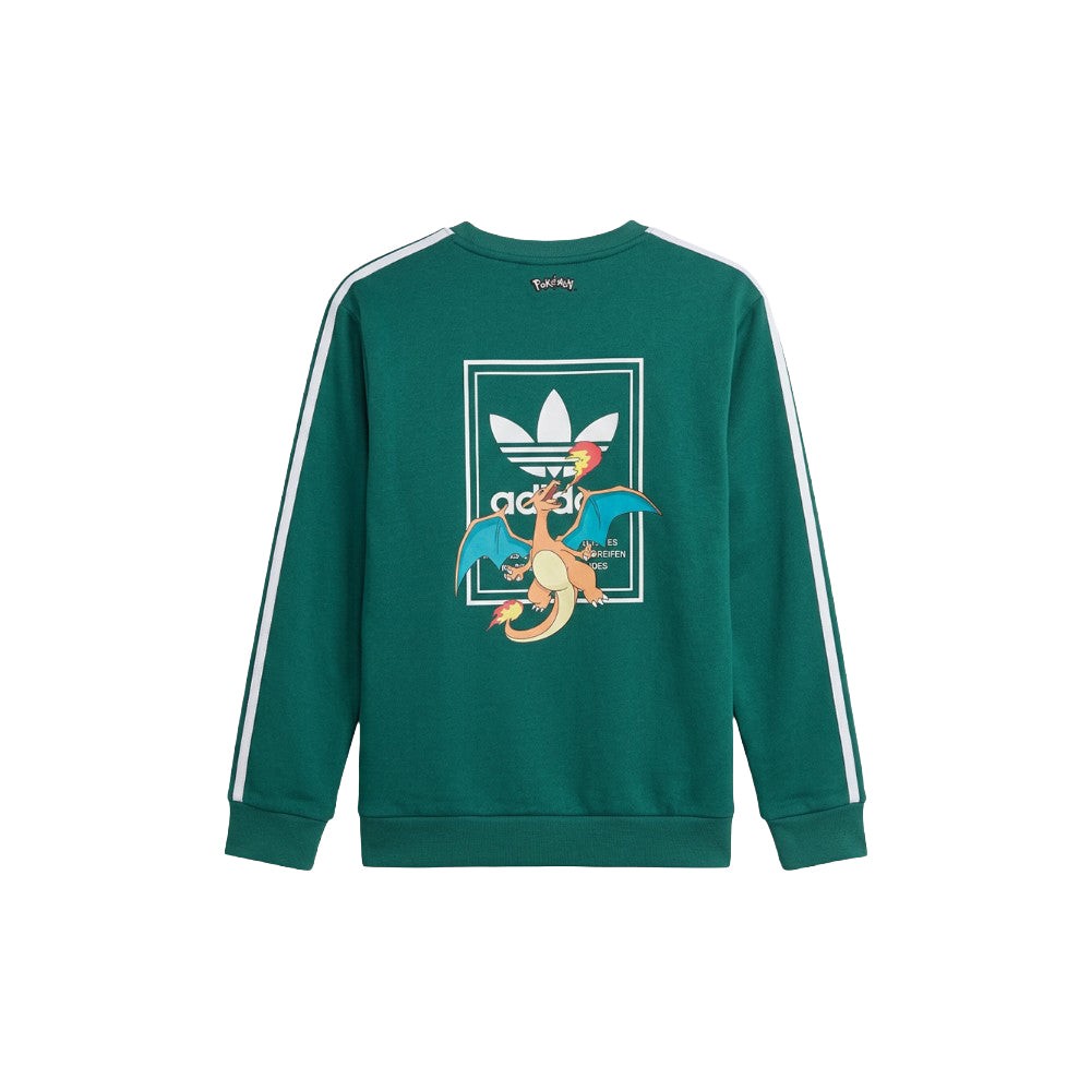 Pokémon loose crew (Youth)