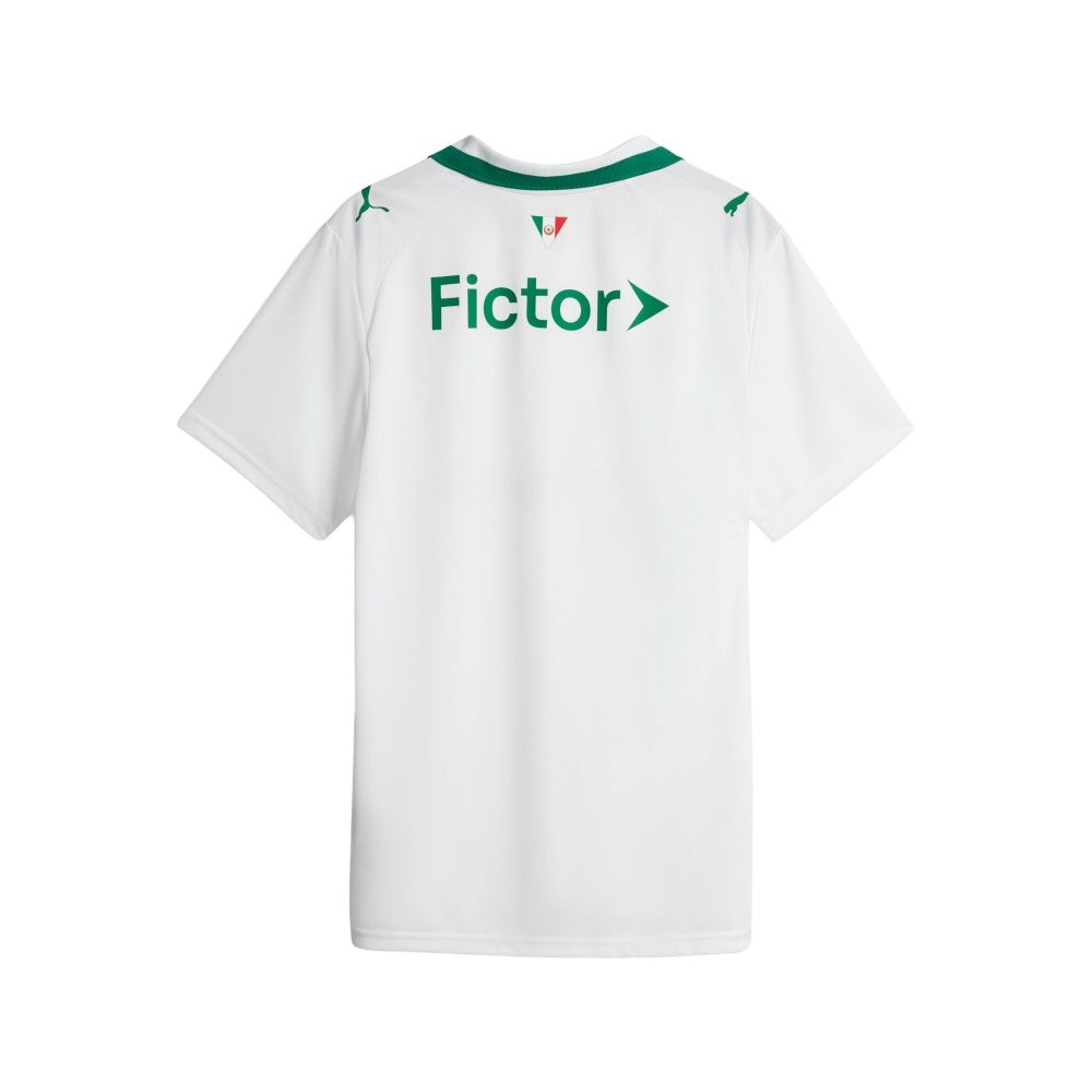 Palmeiras Torcedor 2026 Away Soccer Jersey