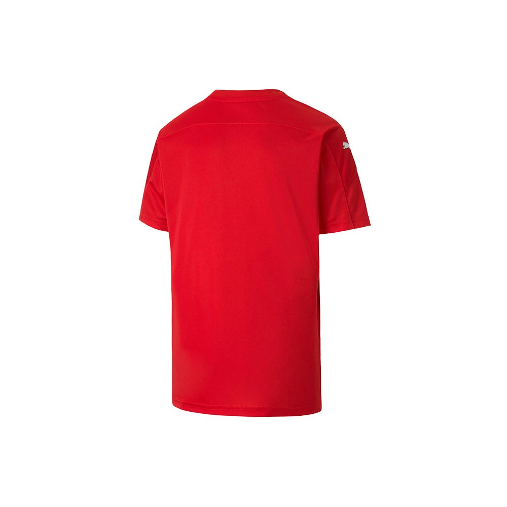 Teamfinal 21 Graphic V-Neck Short Sleeve Soccer Jersey (Youth)