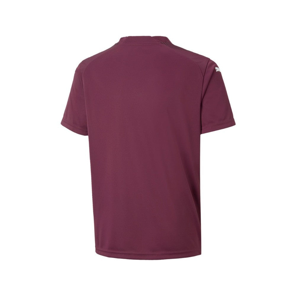Teamglory Crew Neck Short Sleeve Replica Jersey (Youth)