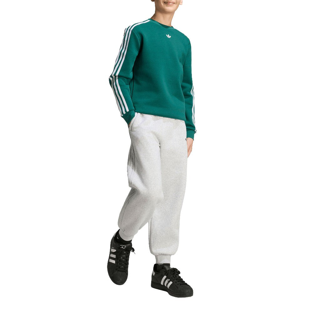Pokémon loose crew (Youth)