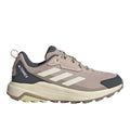 Terrex Anylander Hiking Shoes