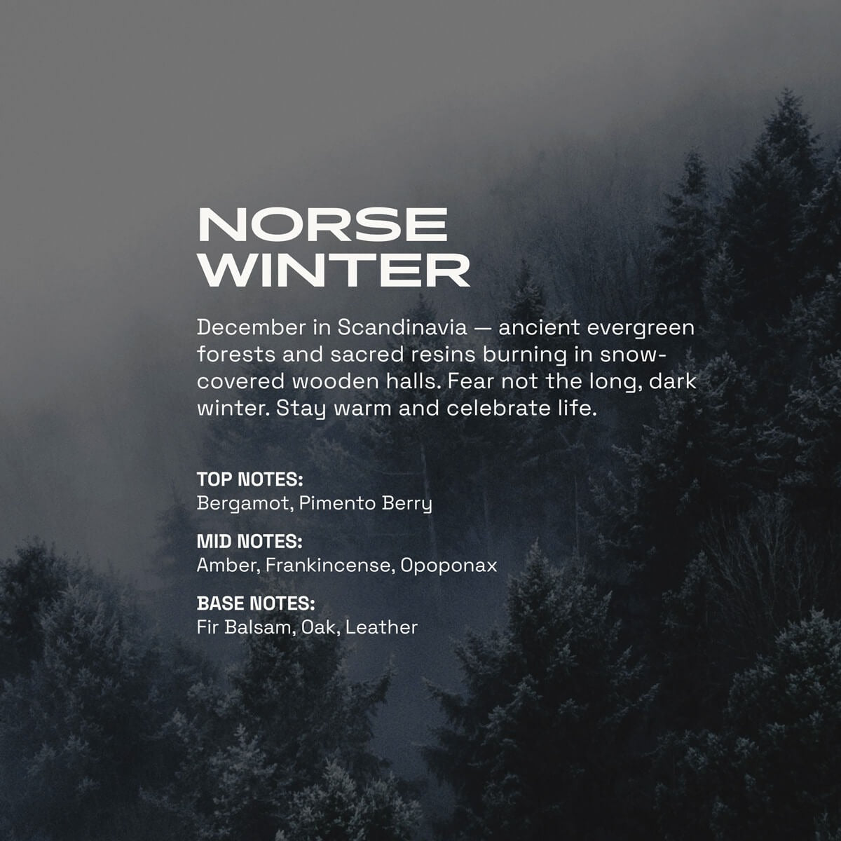 Norse Winter Men's Cologne