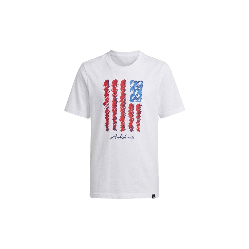 Short Sleeve USA Flag Tee (Youth)