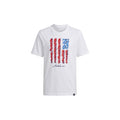 Short Sleeve USA Flag Tee (Youth)