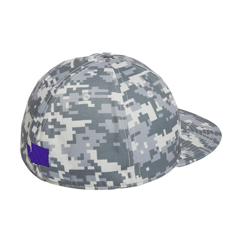 Washington Huskies Cap