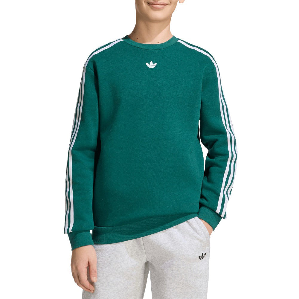 Pokémon loose crew (Youth)