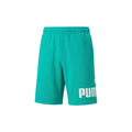 Essentials Big Logo 10 Inch Shorts